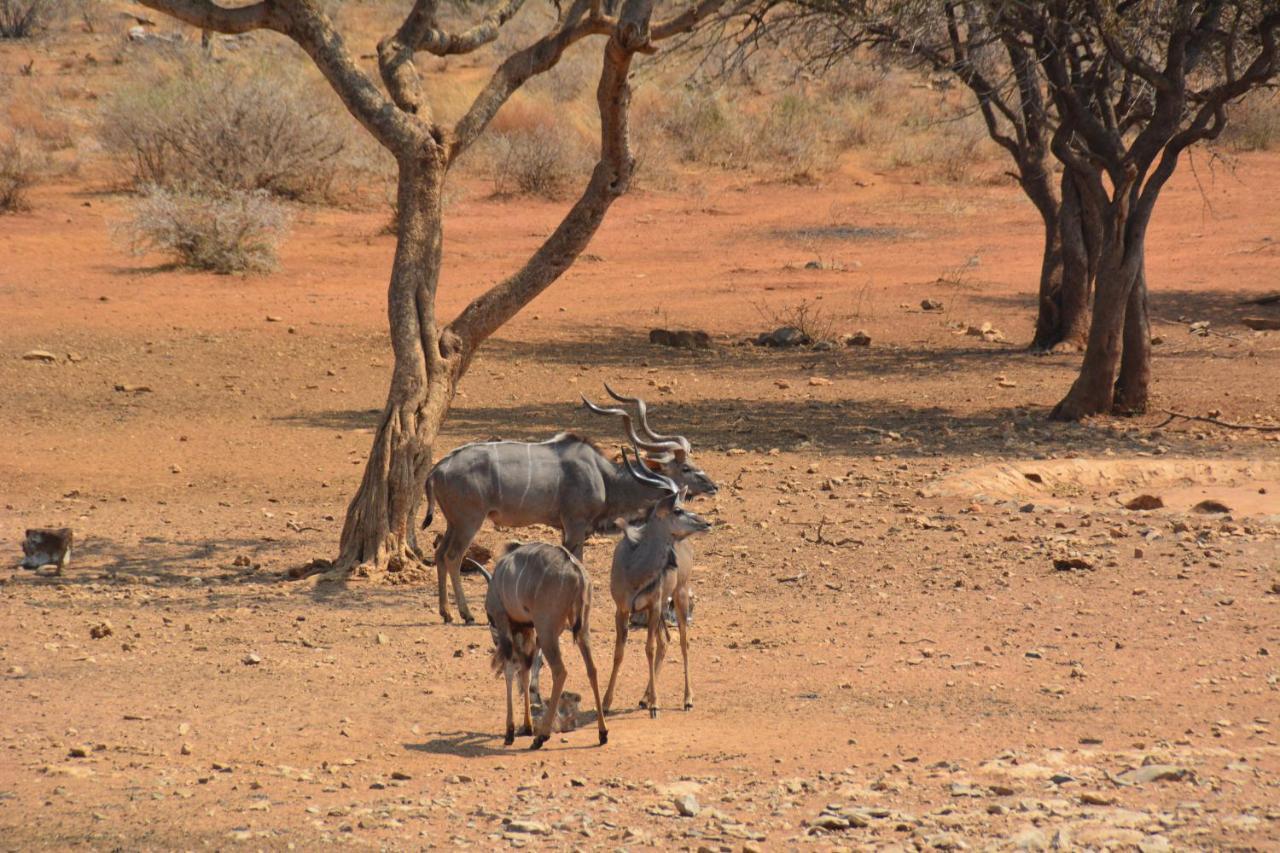 Gabus Game Ranch Villa Otavi Kültér fotó